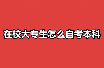 在校大专生怎么自考本科