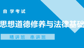 03706思想道德修养与法律基础自考课程