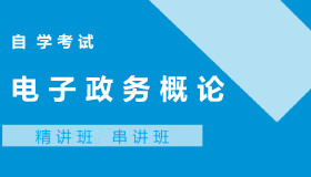 03333电子政务概论自考课程